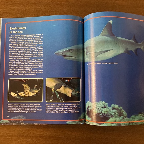 Vintage Aquatic Book Bundle - Picture 8 of 16